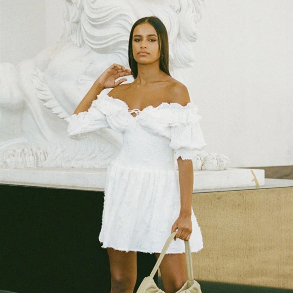 Sabo Skirt Velette Shirred Dress